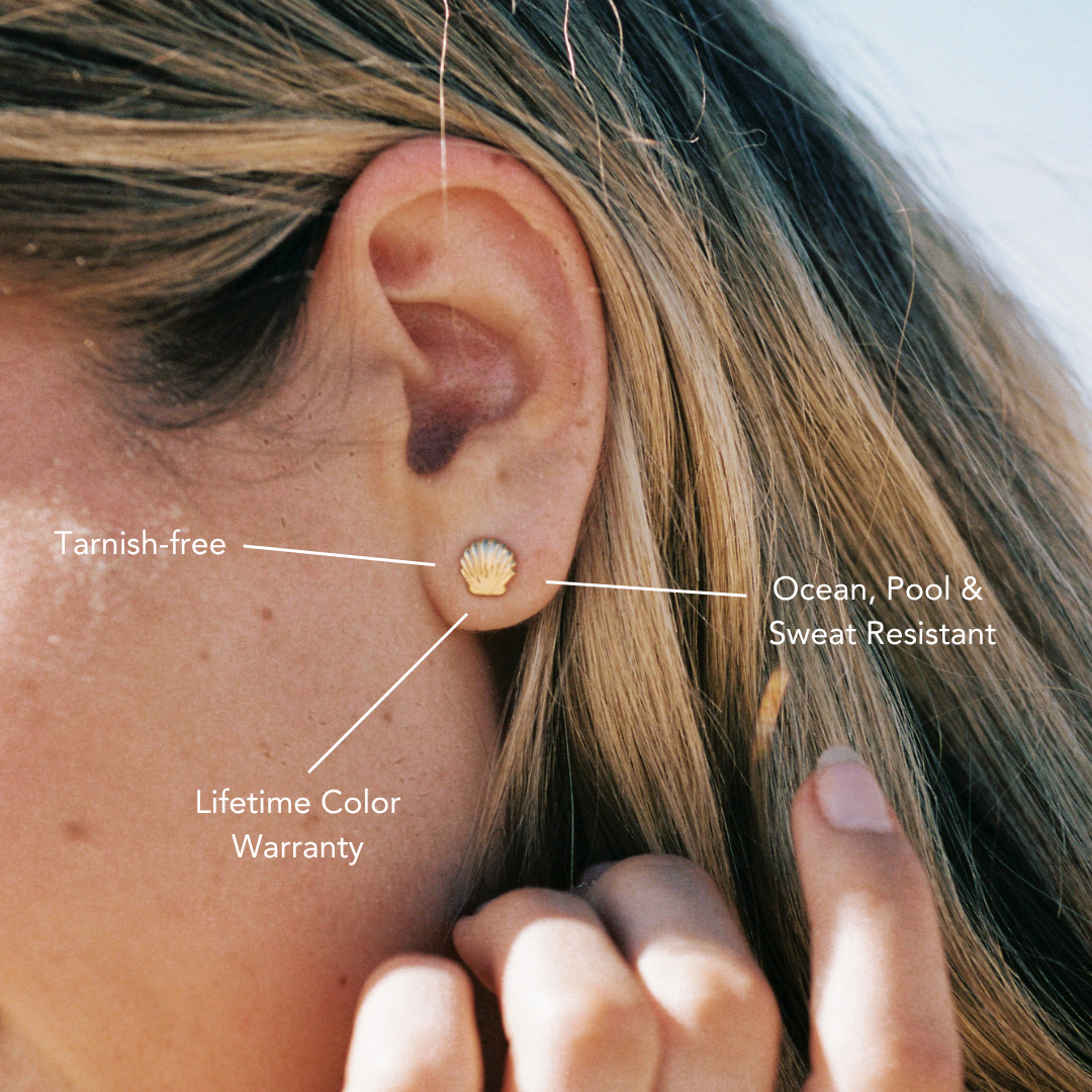 Shell Stud Earrings