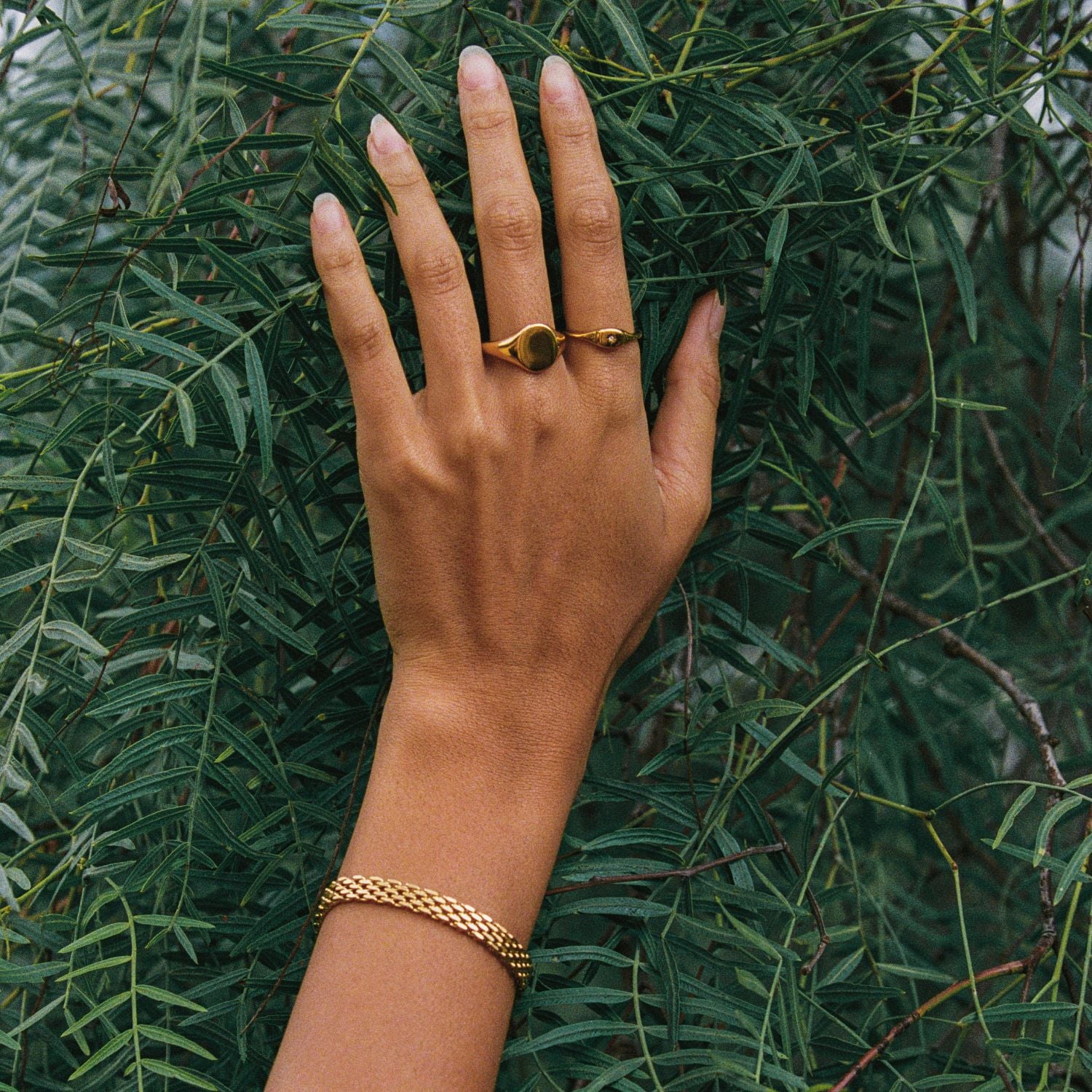 シフノスブレスレット