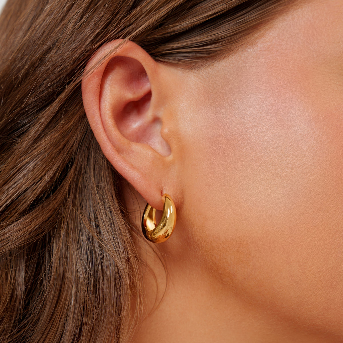 Golden Curve Earrings