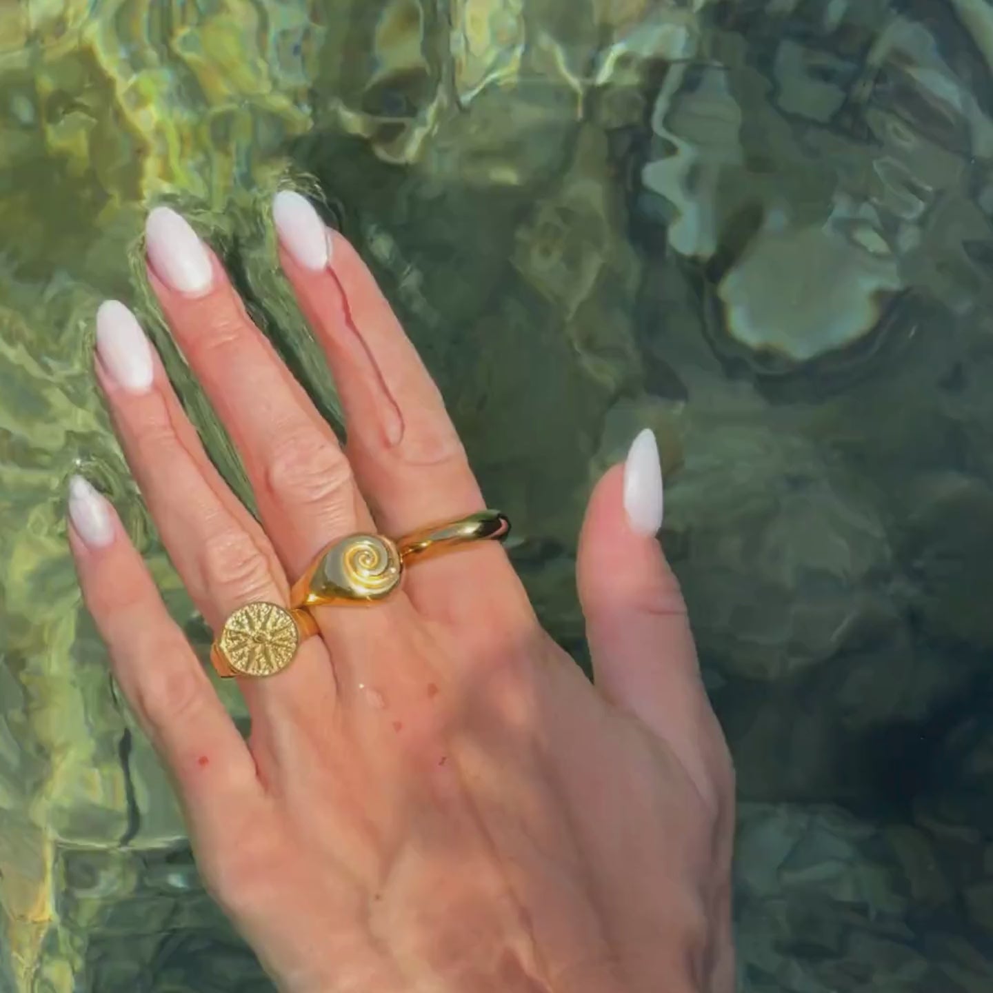 Nautilus ring