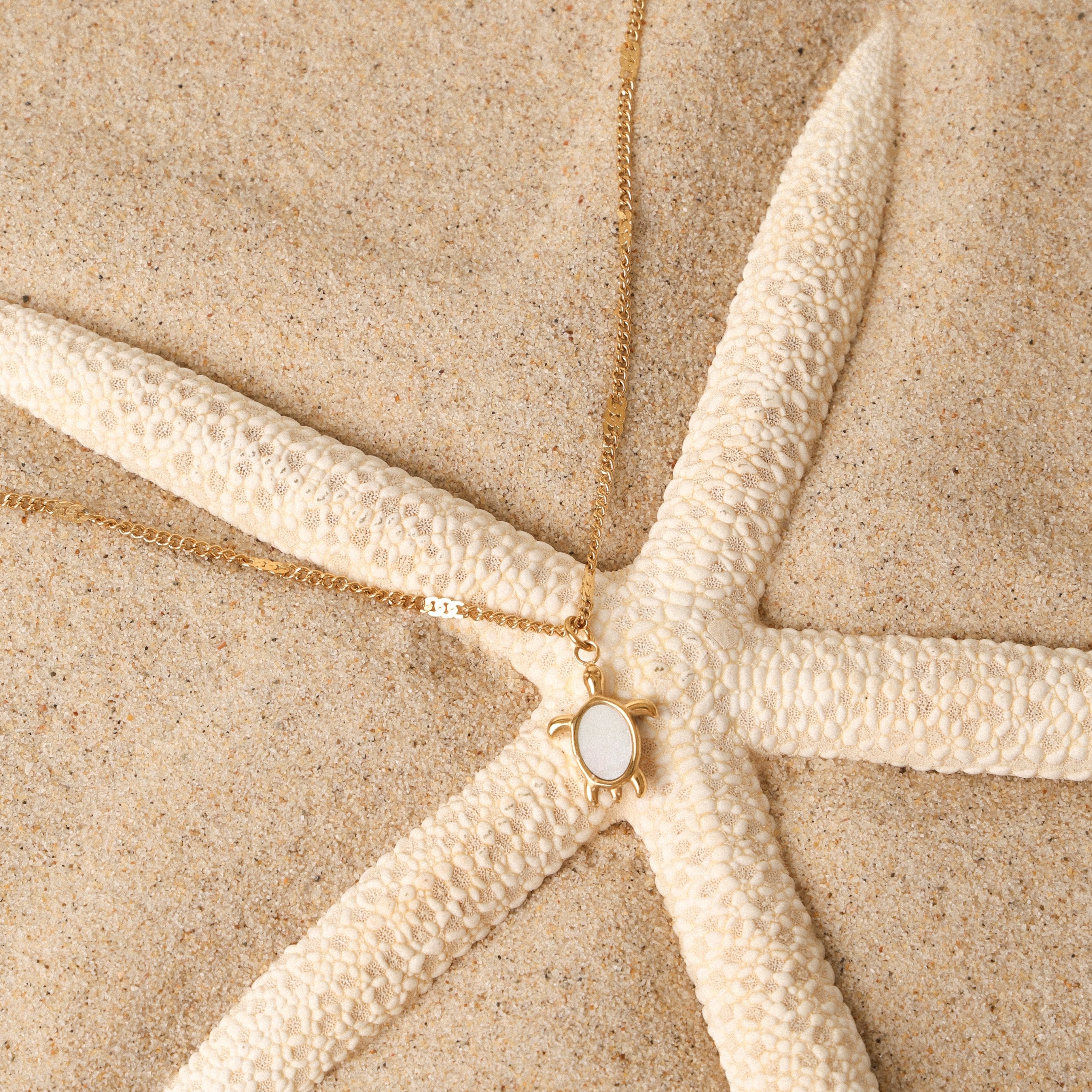 Turtle Gold Necklace