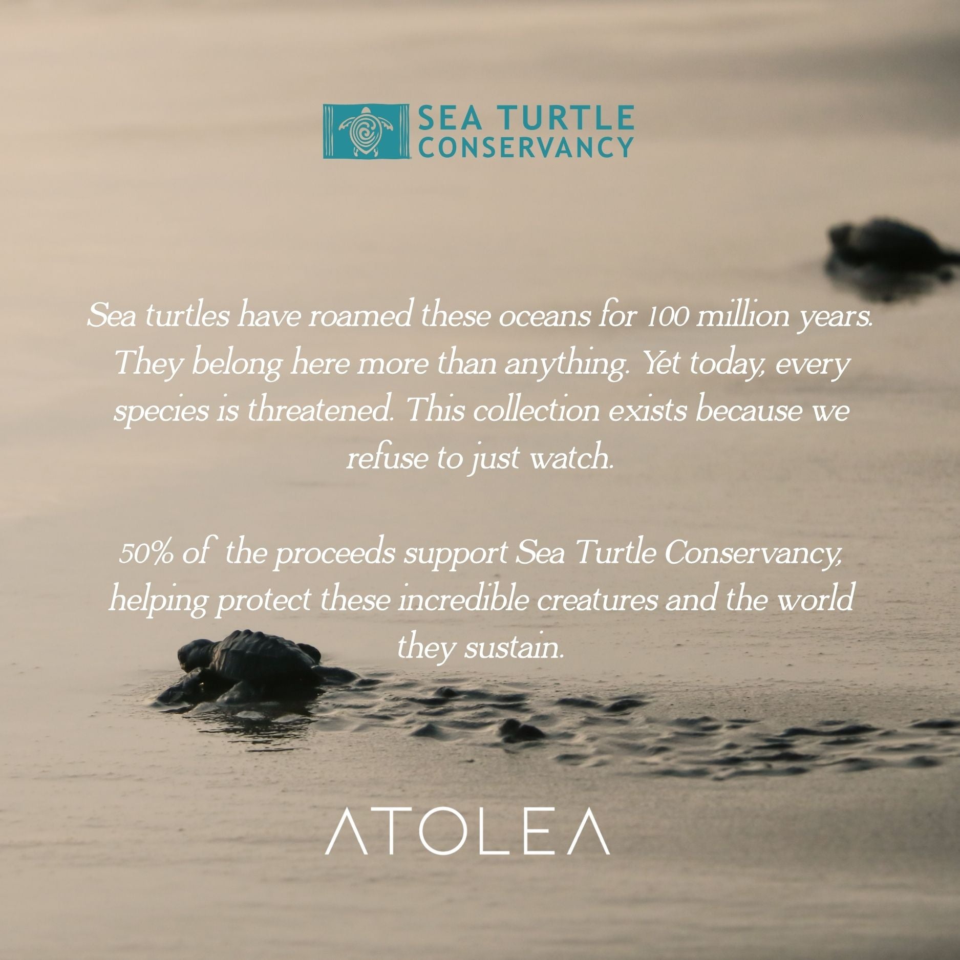 Turtle Guardian Necklace