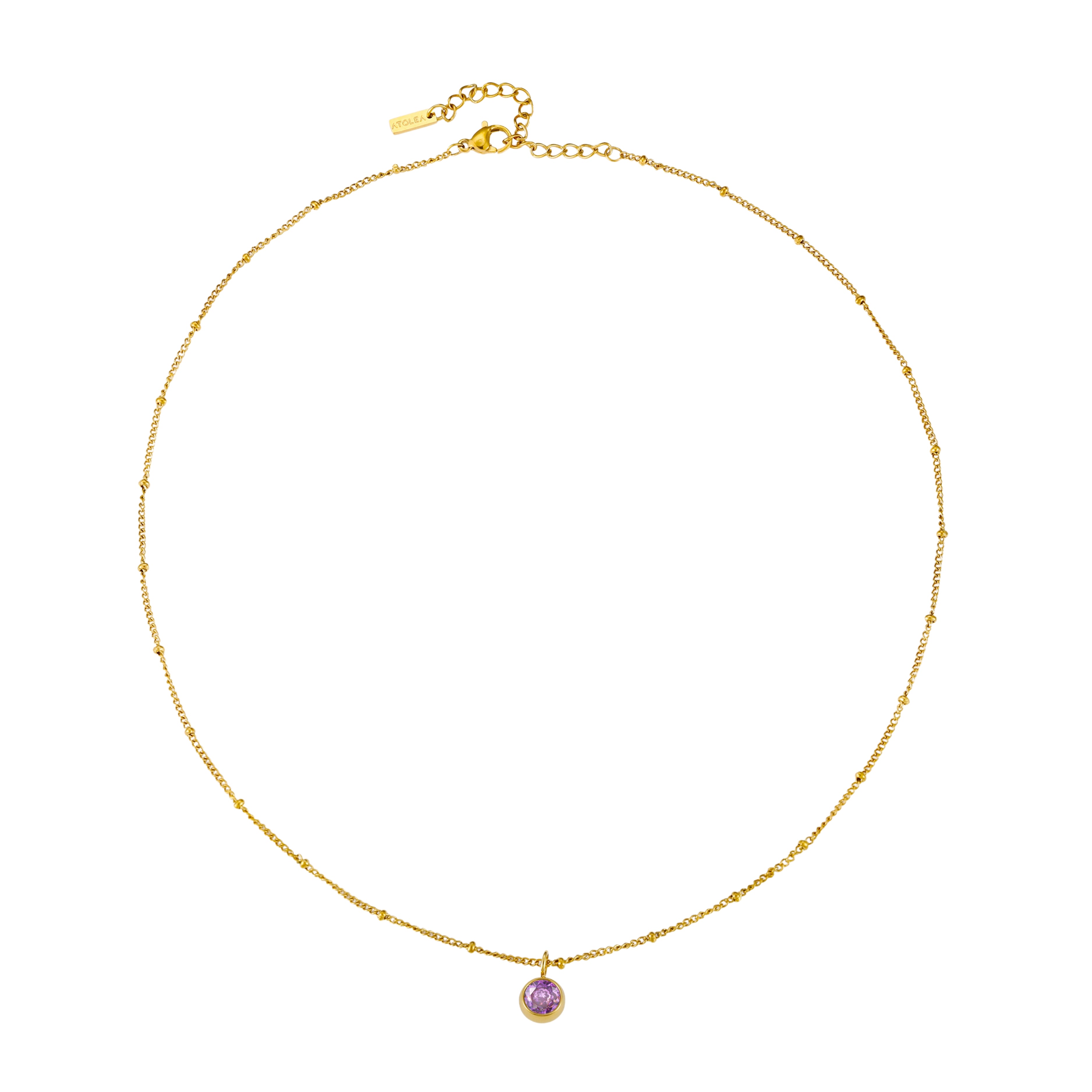 Birthstone Necklace February