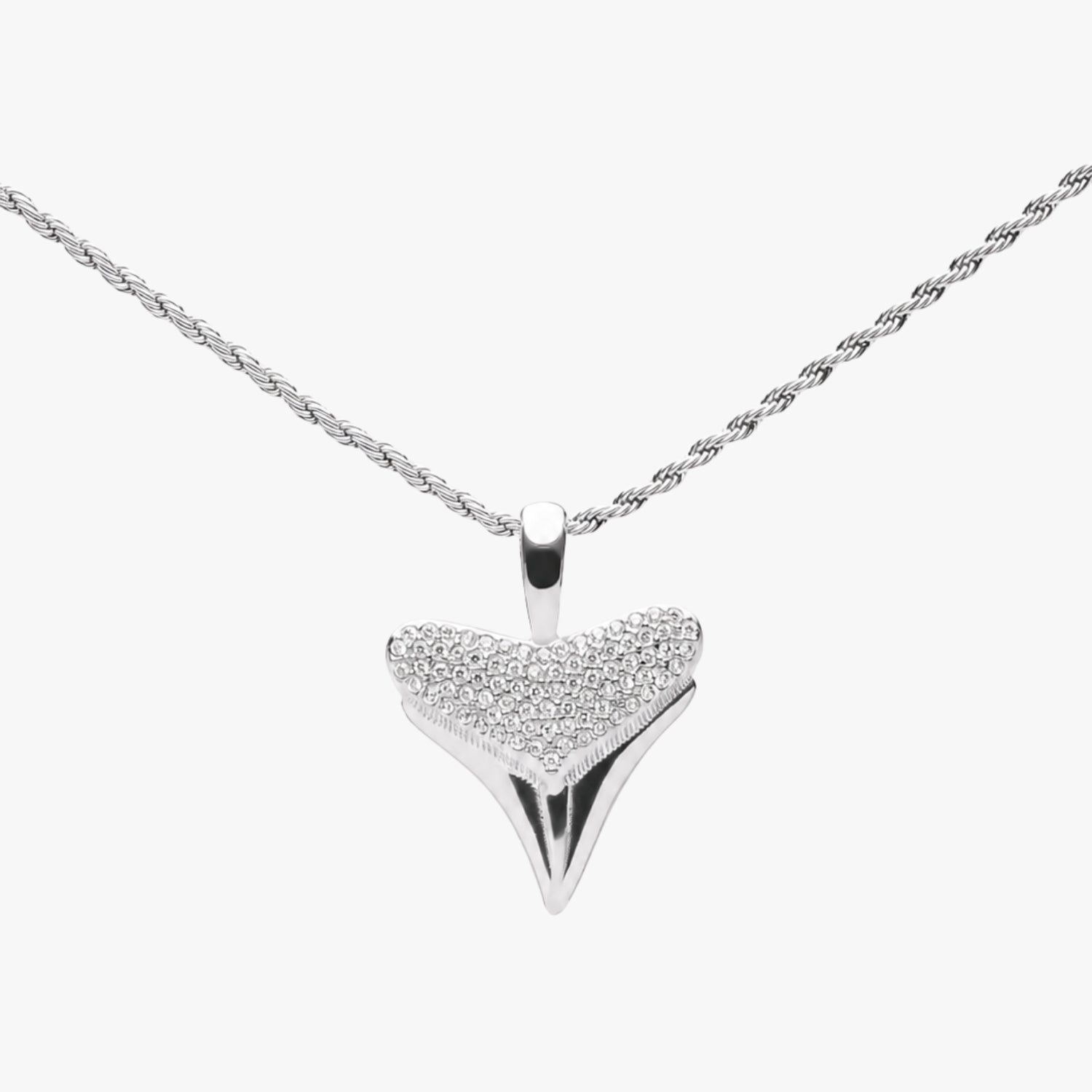 Shark Tooth Pendant Closeup